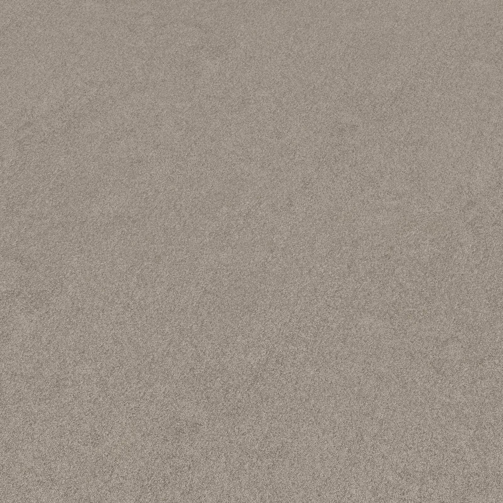 Ambiant Maryland Grijsbeige 0496 - Vloerbedekking - Tapijt