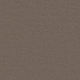 Ambiant Miami Taupe 0535 - Vloerbedekking - Tapijt