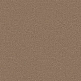 Ambiant Portland Sesam 0450 - Vloerbedekking - Tapijt