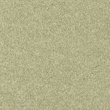 Belakos Award 24 - Vloerbedekking - Tapijt