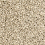 Gelasta Joy! 239 - Tapijt