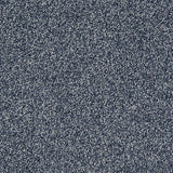 Gelasta Massiv SDN 79 - Tapijt