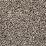 Gelasta Shakespeare 92 - Tapijt