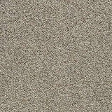 Gelasta Xtreme SDN 138 - Tapijt