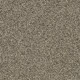 Gelasta Xtreme SDN 142 - Tapijt