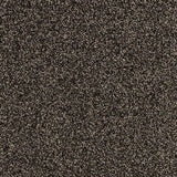 Gelasta Xtreme SDN 148 - Tapijt