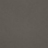 Interfloor Dynamic Lino 250 - Vinyl - Black Tex Back