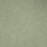 Interfloor Dynamic Lino 261 - Vinyl - Black Tex Back