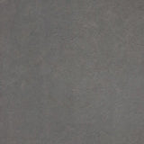 Interfloor Dynamic Lino 280 - Vinyl - Black Tex Back