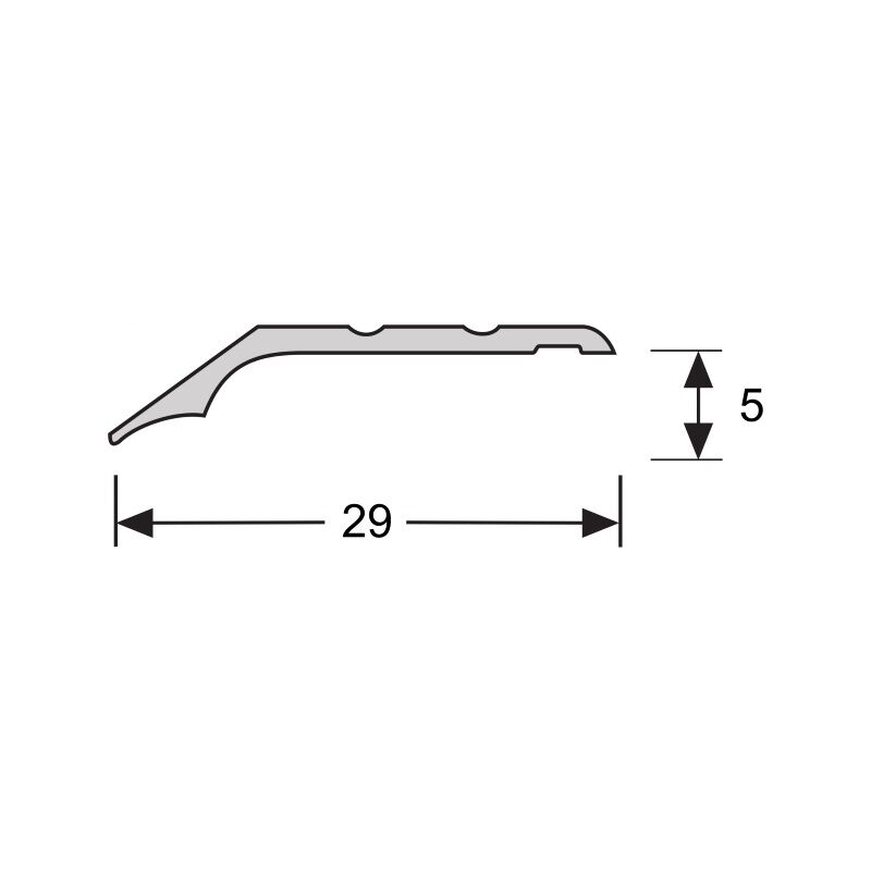 Overgangsprofiel 5 mm 2.7m Aluminium RVS 51155